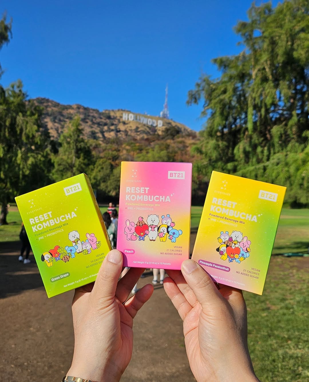 Everydaze Pineapple Passionfruit Kombucha Sticks